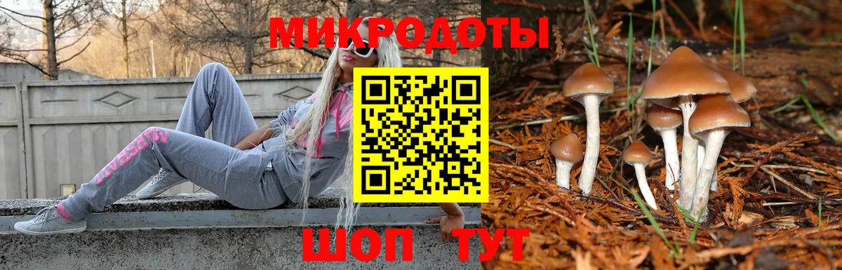 Псилоцибиновые грибы GOLDEN TEACHER  Галлюциногенные грибы прущие грибы  Родники  Вход с VPN 